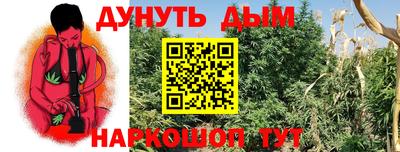 сатива Кумертау